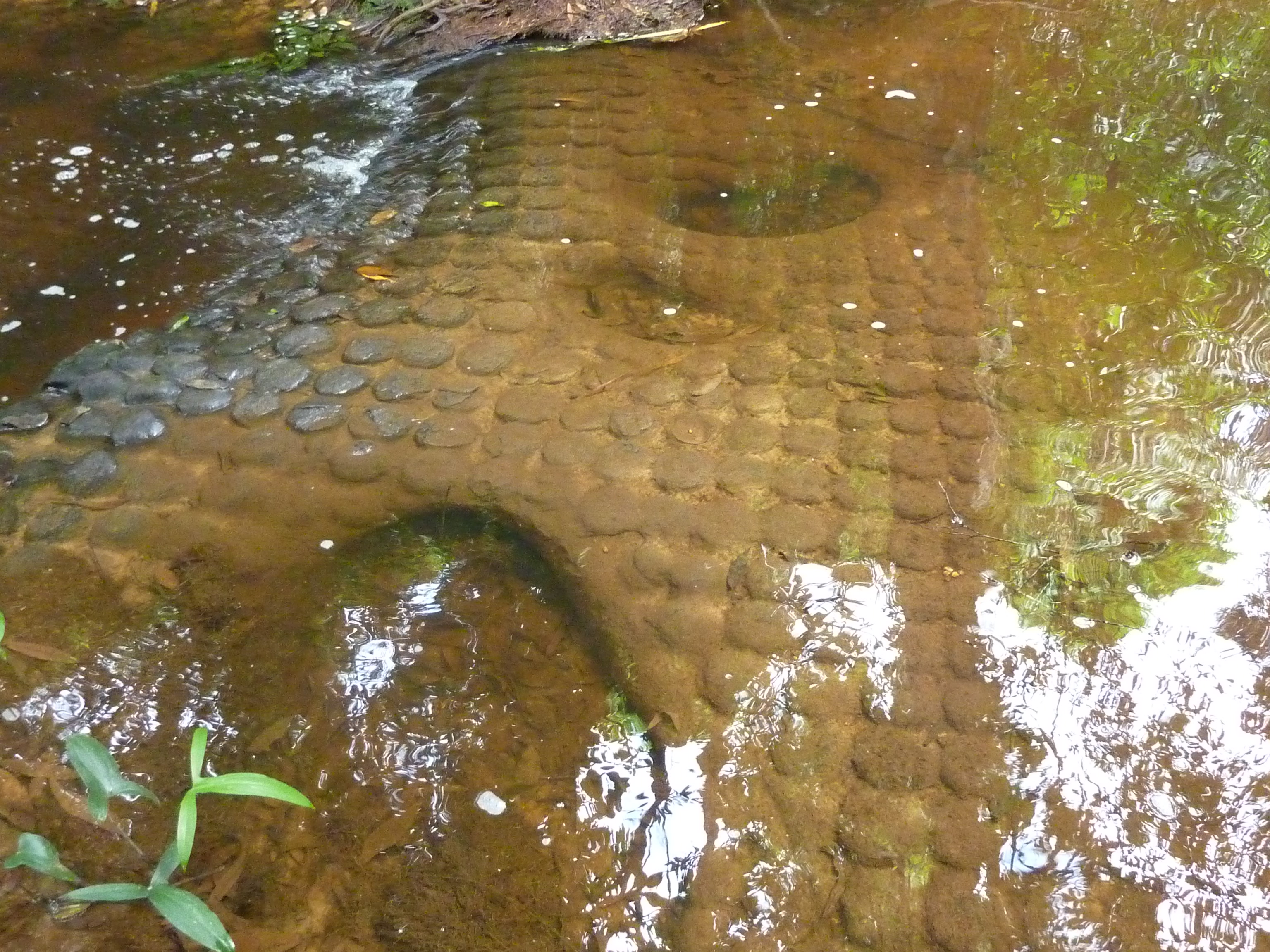 14884kbal_spean_-_007_lingas_carved_into_the_living_rock_(8584735012).jpg