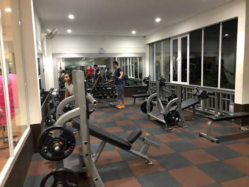 93884angkor-muscle-gym-03.jpg